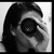 :iconlittleheloa: