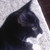 :iconlittlehokie19: