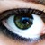 :iconlittlejaybird:
