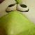 :iconlittlejohn98: