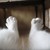 :iconlittlekyoka: