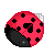 :iconlittleladybug: