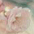 :iconlittlelinkinquar: