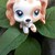 :iconlittlelovelypetshops:
