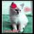 :iconlittlelovelywolf:
