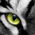 :iconlittlemagicdove: