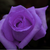 :iconlittlematryoshkadoll: