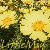 :iconlittlemay: