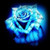 :iconlittlemissmusical96: