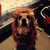 :iconlittlemissthing21: