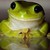 :iconlittlemrgreen: