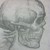 :iconlittlemuse-ess: