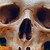 :iconlittleneutrino76: