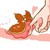 :iconlittlenudibranch: