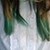 :iconlittleoluna: