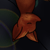 :iconlittleredbat: