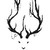 :iconlittlereindeer: