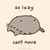 :iconlittlerose23: