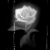 :iconlittleroxygurl2000: