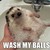 :iconlittleseena: