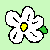 LittleSnowFox :iconlittlesnowfox: