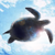 :iconlittleturtlekevin: