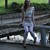 :iconlittlewallabee:
