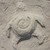 :iconlittlewind-bigstorm:
