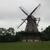 :iconlittlewindmills: