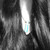 :iconlittlewolf-ex: