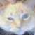 :iconlittlexmissxraven: