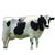 :iconliveactioncowplz: