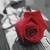 :iconliveandletdance: