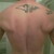 :iconlivebythelove:
