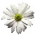 :iconliveitfull: