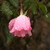 :iconlivelaughlove816: