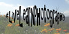 :iconlivelearnphotography:
