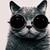 livelifexoxo :iconlivelifexoxo: