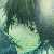 :iconlivepen: