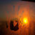 :iconliverbug-o-n:
