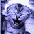:iconliverkitty: