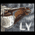 :iconlivevivaciously: