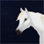 :iconlividstarstables: