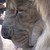:iconlivin4today03: