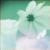 :iconliving-a-legacy:
