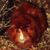 :iconliving4cheese: