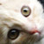 :iconlivingkills: