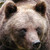:iconlivingstonthegreat:
