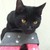 :iconliz-elane97: