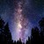 :iconliz21310: